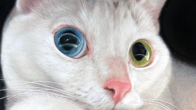 猫の絵
