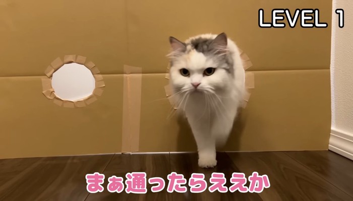 レベル1