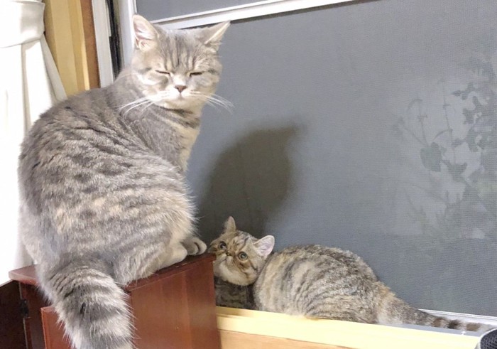 うり&ぶぶ