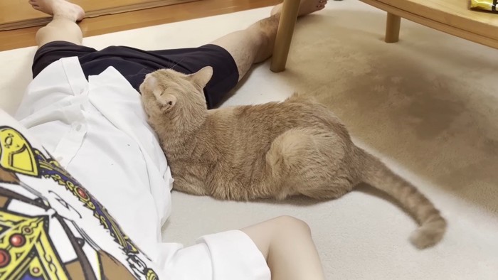 お腹の上に顎