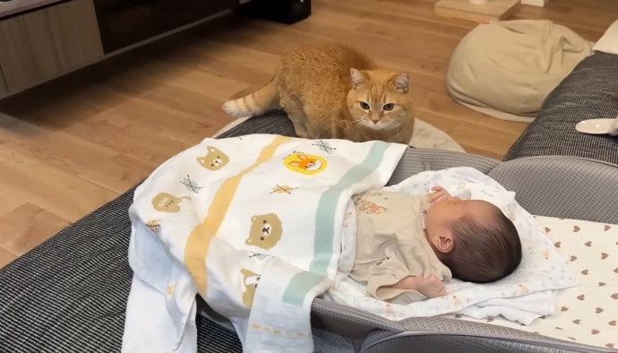 赤ちゃんを見る姿
