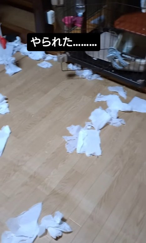 散らばった部屋