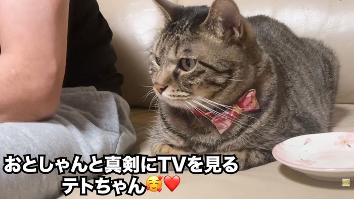 テロップ「おとしゃんと～」