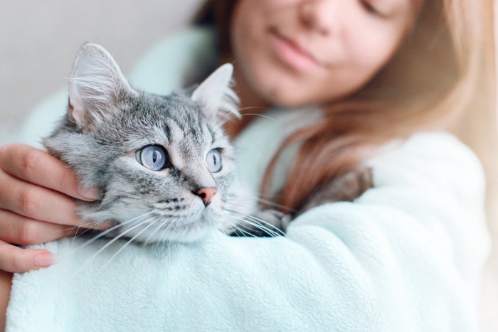 女性の腕の中の猫