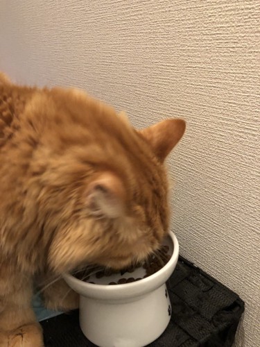 食べる姿