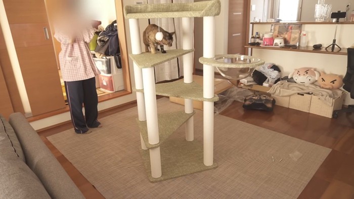 登ったたっちゃんとママさん