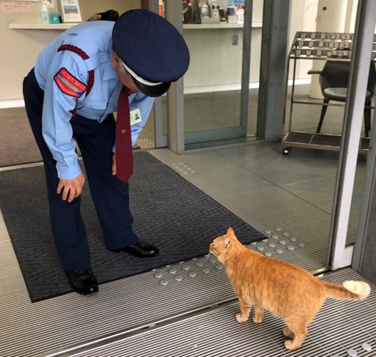 警備員さんに止められるごっちゃん