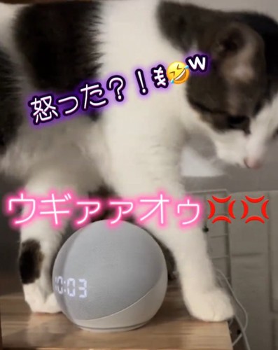 驚くノアくん