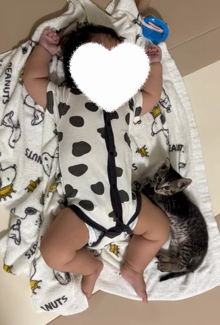 寝ている赤ちゃんに寄り添って寝ている子猫