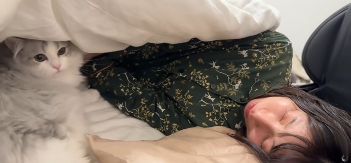 布団の中で寝ている人と猫