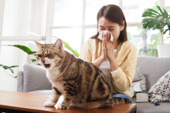 くしゃみをする飼い主と猫