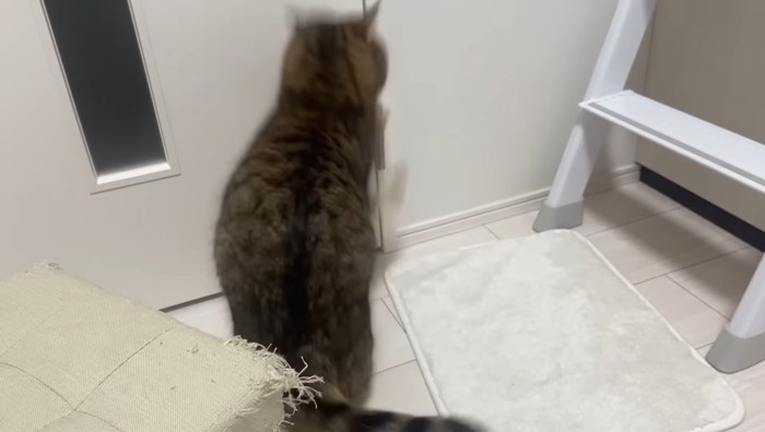 掴んで