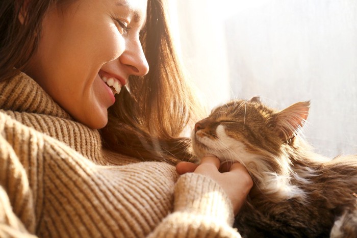 女性に褒められて嬉しそうな猫