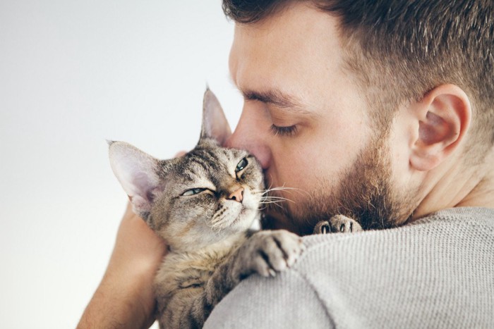 男性に抱かれてうっとりの猫