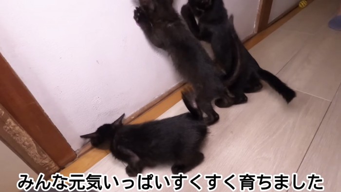 「みんな元気いっぱい...」のテロップ写真