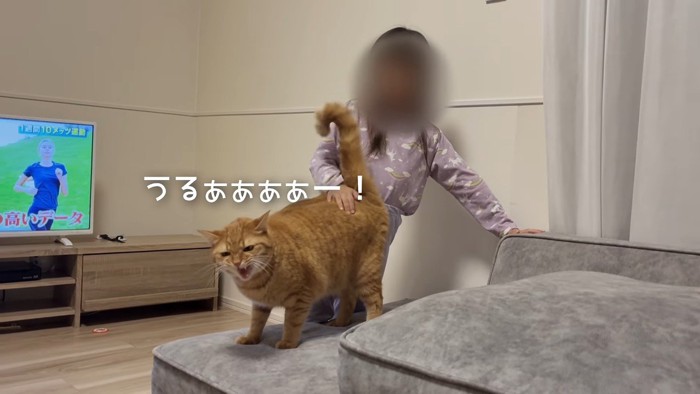 うるぁぁぁぁー!
