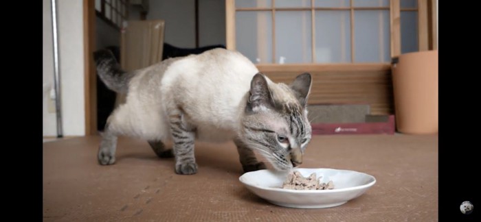 食べる？