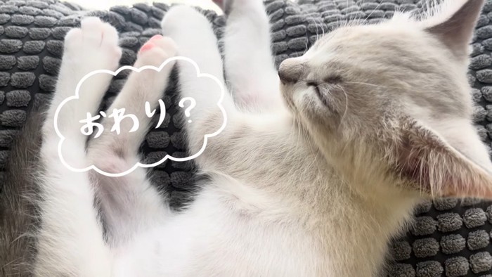 おわり？