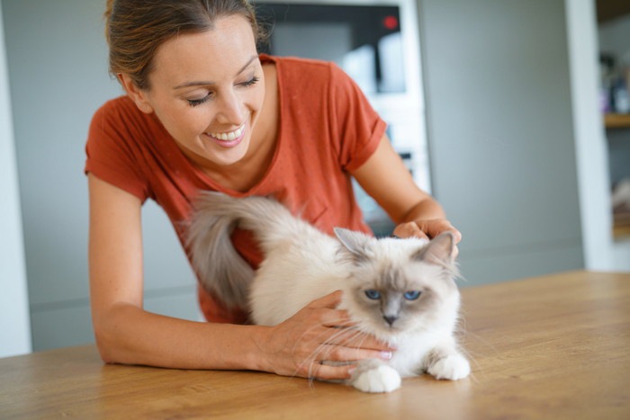 女性に撫でてもらう猫の写真