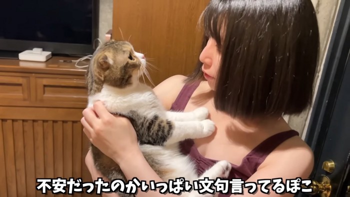 抱っこされる猫