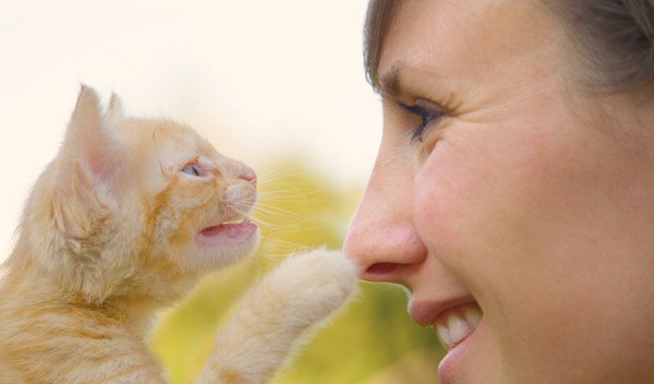 鳴く子猫と向かい合う女性