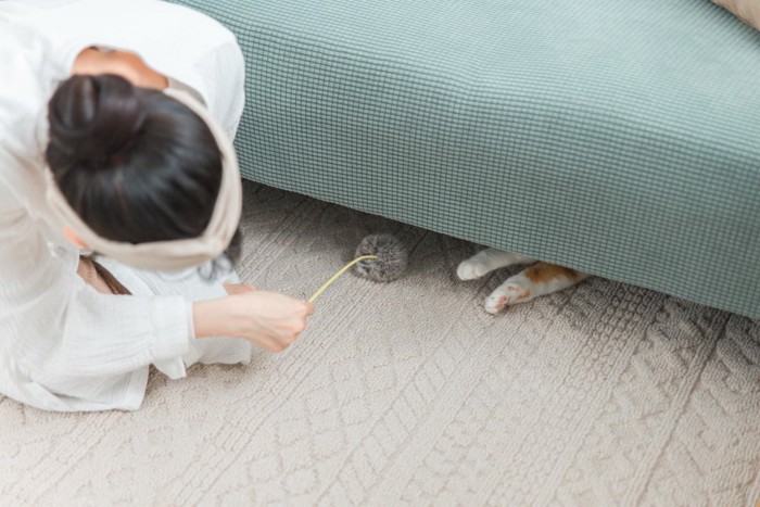 隠れる猫と女性