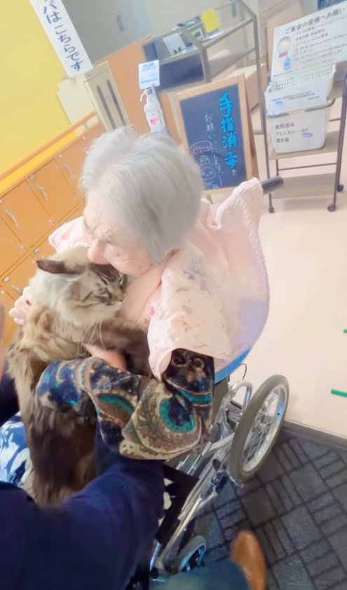 おばあちゃんに抱きしめられている猫(目線画面右側)