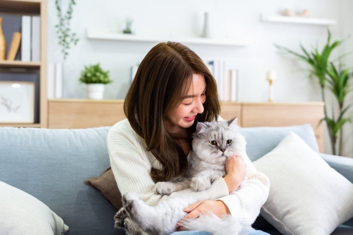 女性に抱っこされている猫