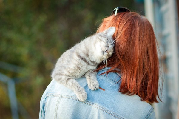 抱っこされて甘えるキジ猫