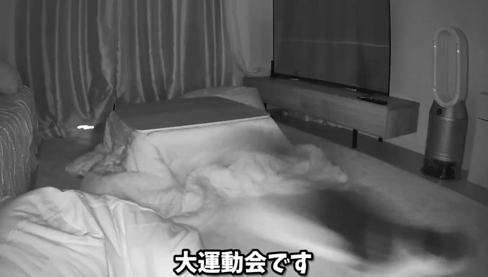 大運動会