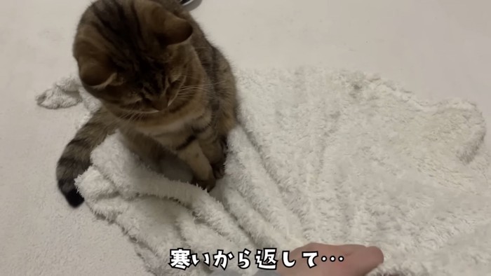 「寒いから返して...」のテロップ写真