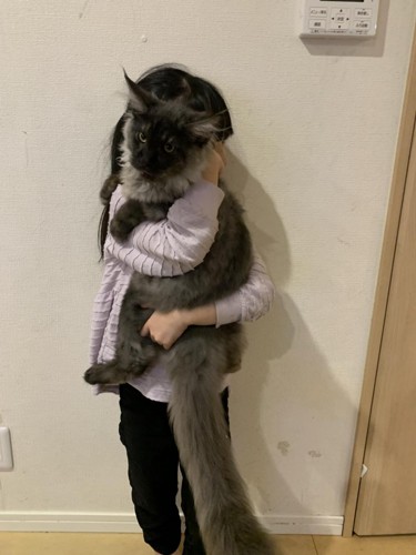 抱っこされる子猫