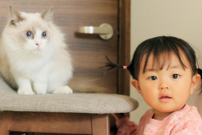 猫と幼児