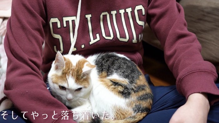 「そしてやっと落ち着いた」のテロップ写真