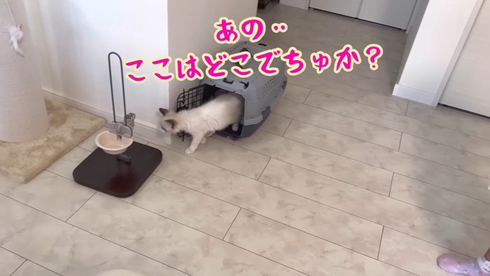 あの…