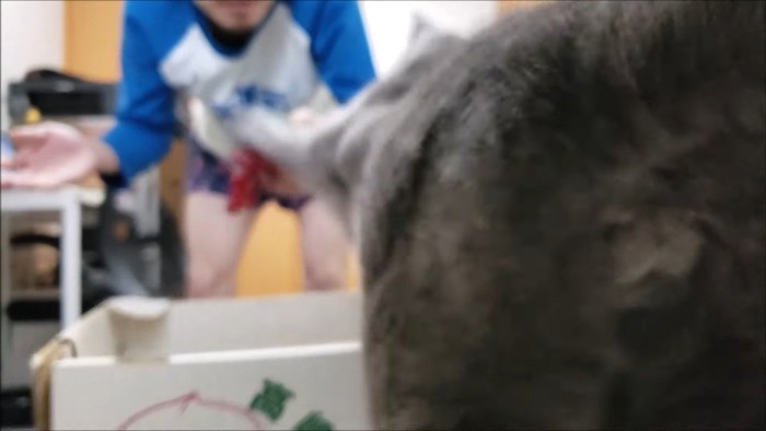 左前足でパンチ