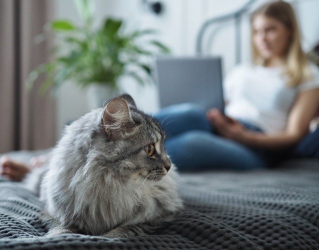 ベッドの上に座る猫と女性