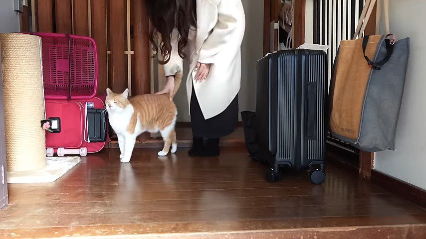 玄関 猫とお母さん