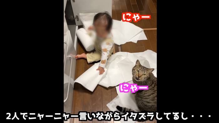 座る赤ちゃんと見上げる猫