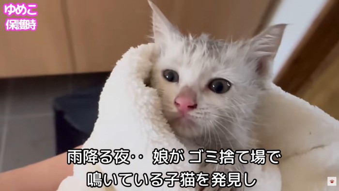 テロップ「雨降る夜～」