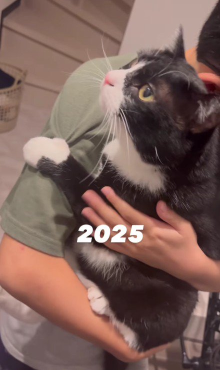 猫を抱っこしている男の子