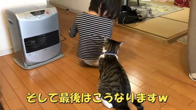 背中を向ける女の子と猫