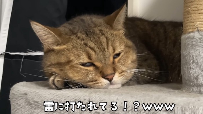 雷に打たれてる！？