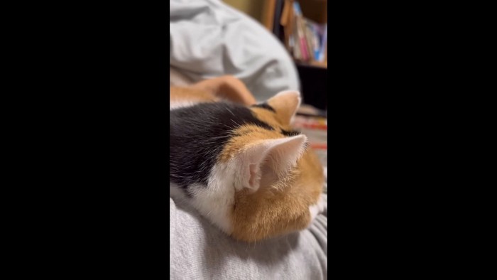 腕枕