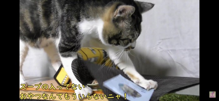 お皿を隠そうとする猫