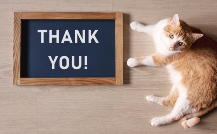 Thank youボードと猫