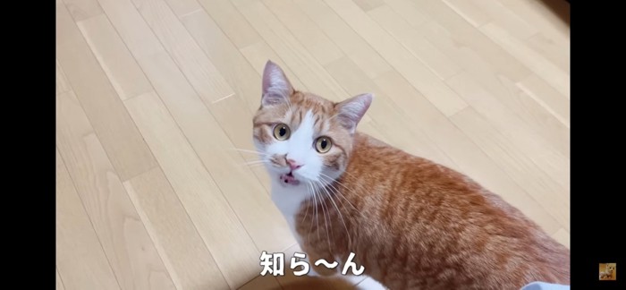 お返事