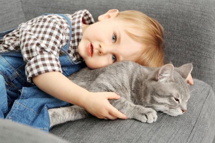 子供とグレー猫