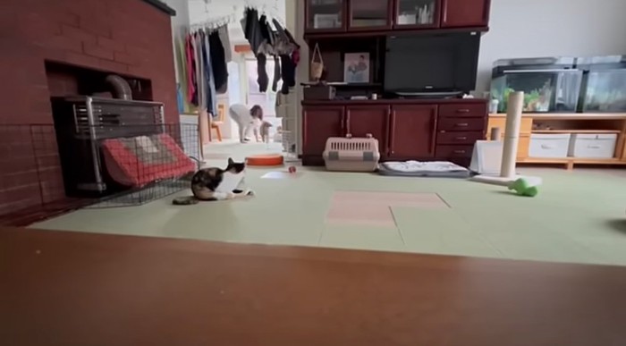 部屋の中