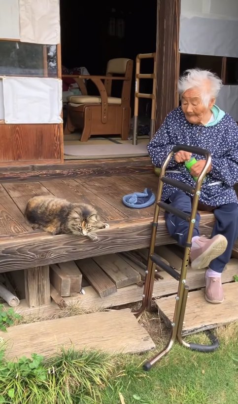 ペットボトルを持っているおばあちゃんの隣で寝転がる猫